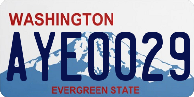 WA license plate AYE0029