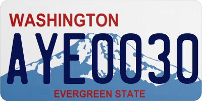 WA license plate AYE0030
