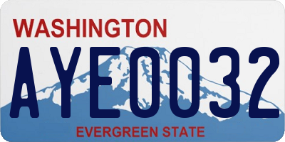 WA license plate AYE0032