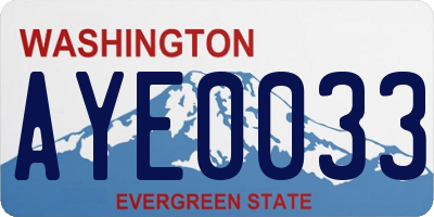 WA license plate AYE0033