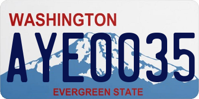 WA license plate AYE0035
