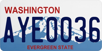 WA license plate AYE0036