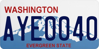 WA license plate AYE0040