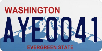 WA license plate AYE0041