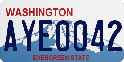 WA license plate AYE0042