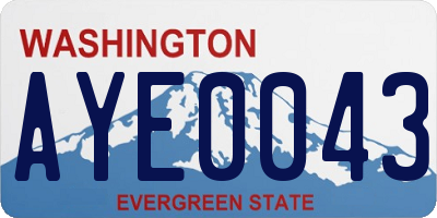 WA license plate AYE0043