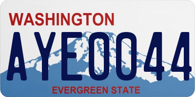 WA license plate AYE0044