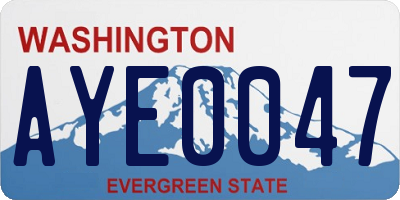 WA license plate AYE0047