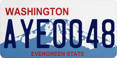 WA license plate AYE0048