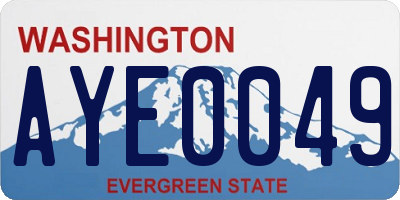 WA license plate AYE0049