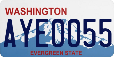 WA license plate AYE0055