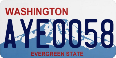 WA license plate AYE0058