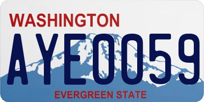 WA license plate AYE0059