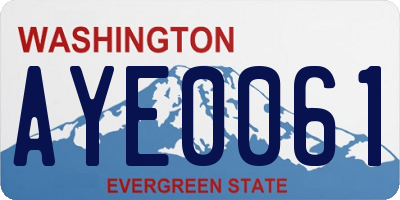 WA license plate AYE0061