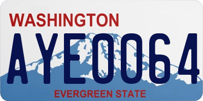 WA license plate AYE0064