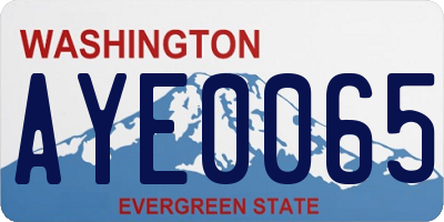 WA license plate AYE0065