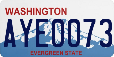 WA license plate AYE0073