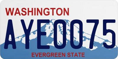 WA license plate AYE0075