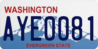 WA license plate AYE0081