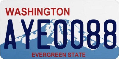 WA license plate AYE0088