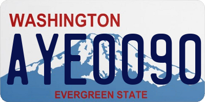 WA license plate AYE0090
