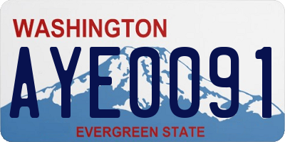 WA license plate AYE0091