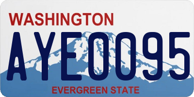 WA license plate AYE0095