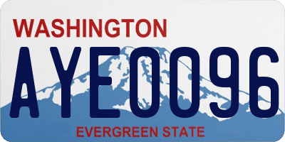 WA license plate AYE0096