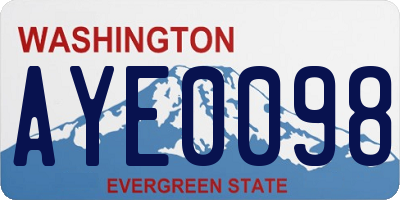 WA license plate AYE0098
