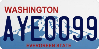 WA license plate AYE0099