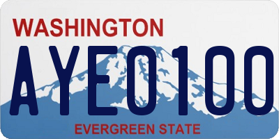 WA license plate AYE0100