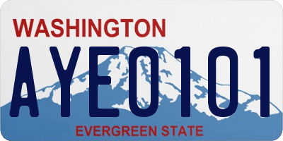 WA license plate AYE0101