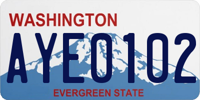 WA license plate AYE0102