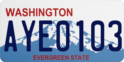 WA license plate AYE0103