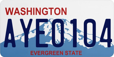 WA license plate AYE0104