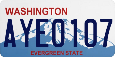 WA license plate AYE0107