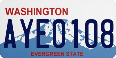 WA license plate AYE0108