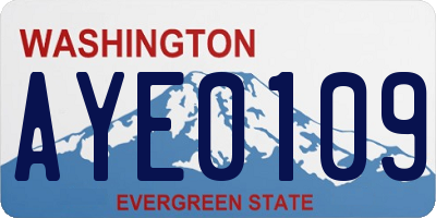 WA license plate AYE0109