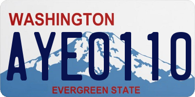 WA license plate AYE0110