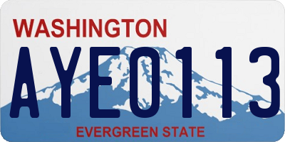 WA license plate AYE0113