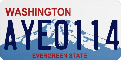 WA license plate AYE0114