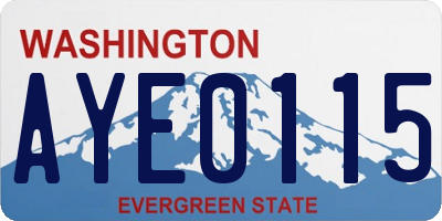 WA license plate AYE0115