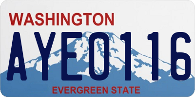 WA license plate AYE0116