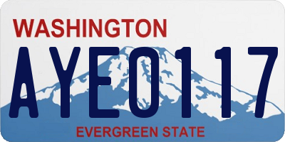 WA license plate AYE0117