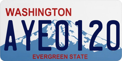 WA license plate AYE0120