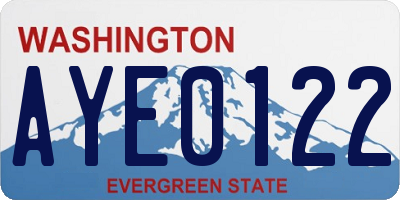 WA license plate AYE0122