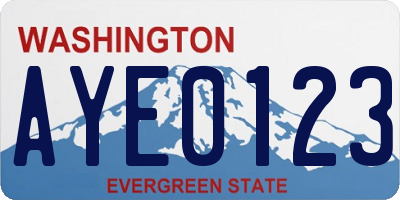 WA license plate AYE0123