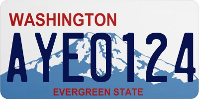 WA license plate AYE0124