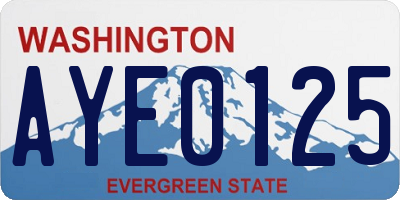 WA license plate AYE0125