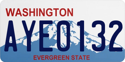 WA license plate AYE0132
